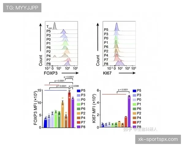 巴斯托尼：对比德利赫特——技术型与对抗型路径分化